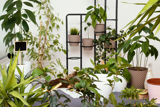 Personalize-Your-Outdoor-Space