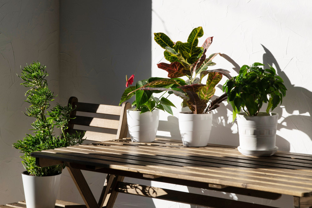 Low Maintenance Balcony Garden